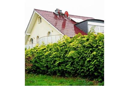 Freistehendes Einfamilienhaus zum Vermieten oder zum Verkaufen - Lohfelden