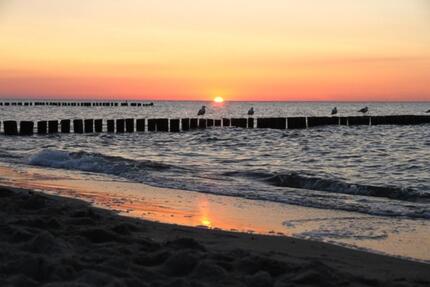 Kleine Ferienwohnung Nähe StralsundOstsee - Steinhagen