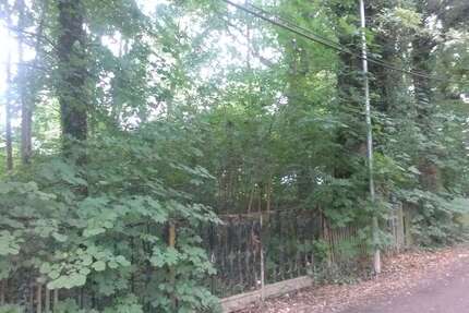 Grundstück zu verkaufen in Brandis 329.000,00 € 1162 m²