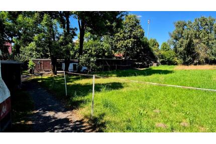 Weideflächen zu verpachten - 50,00&nbsp;EUR Kaltmiete, ca.&nbsp; 0,00&nbsp;m&sup2; in Erlangen (PLZ: 91056) Alterlangen