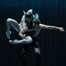 Schwanensee. Rotbarts Geschichte - Niedersächsische Staatstheater Hannover