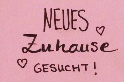 JUNGGEBLIEBENES Paar i.d.Sechzigern su. ruhige 3 ZKB +Garten - Schöffengrund
