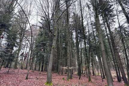 Grundstück in Deggendorf 65.000,00 € 17850 m²