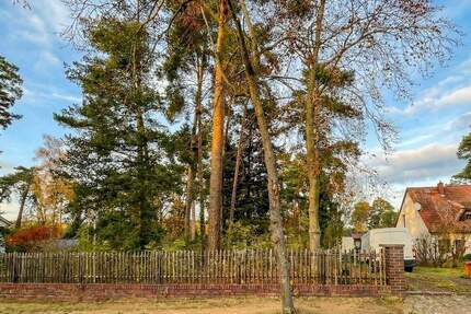 Sonniges Baugrundstück am Waldrand - ideale Basis für Ihr Ein- oder Zweifamilienhaus - Rangsdorf