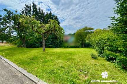 Grundstück zu verkaufen in Freudenberg Rauenberg 50.000,00 € 705 m² - Freudenberg / Rauenberg