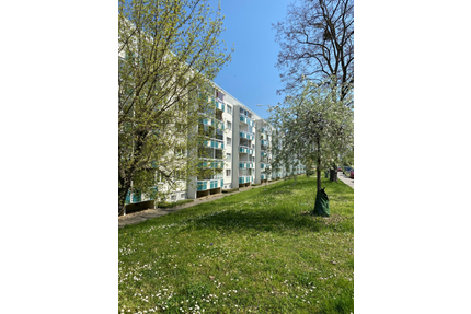 Wohnung zum Mieten in Wernigerode 368,74 € 58.53 m²