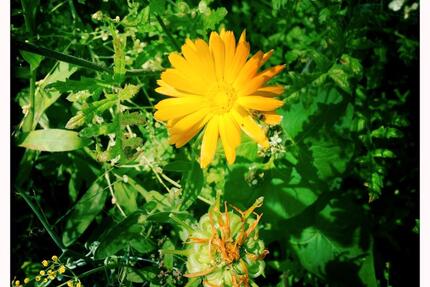 Einfamilienhaus - 369.000,00&nbsp;EUR Kaufpreis, ca.&nbsp; 150,00&nbsp;m&sup2; in Dülmen (PLZ: 48249)