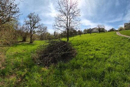 Wiesengrundstück zur Pacht – 1.500 m² in Esslingen-Krummenacker - Esslingen am Neckar Oberesslingen