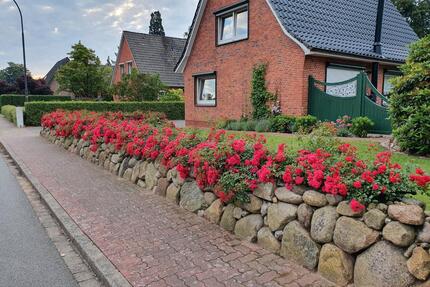 Haus in ruhiger Lage zu vermieten - Schenefeld