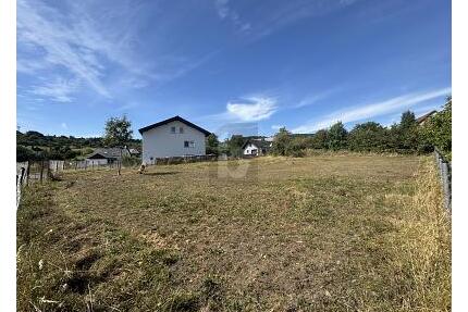 GESTALTUNGSFREIHEIT TRIFFT RUHE UND NATUR - Greifenstein