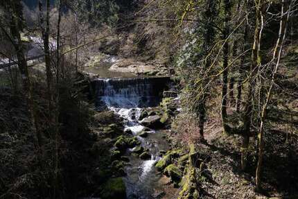 Haus zum Kaufen in Alpirsbach 246.000,00 € 200 m²