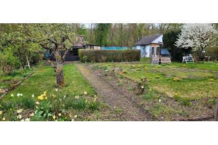 Garten zu Vergeben - 1.500,00&nbsp;EUR Kaltmiete, ca.&nbsp; 0,00&nbsp;m&sup2; in Hessisch Oldendorf (PLZ: 31840)