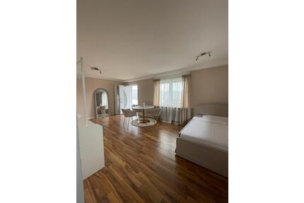 Helle 1-Zimmerwohnung mit Küche und großem Bad - Obrigheim