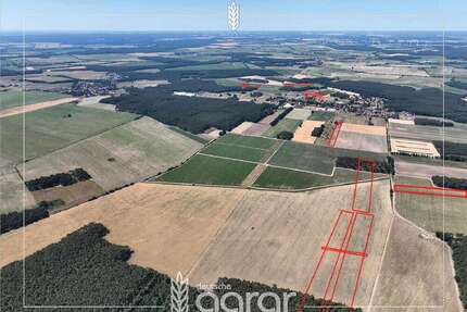 Grundstück zu verkaufen in Beelitz Elsholz 162.900,00 € 159908 m² - Beelitz / Elsholz