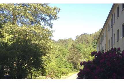 Wohnung zum Mieten in Prossen 340,00 € 51 m²