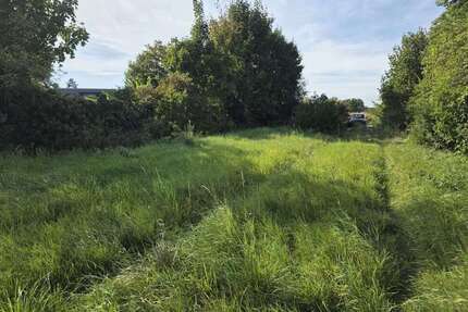 Grundstück zu verkaufen in Ladenburg 550.000,00 € 750 m²