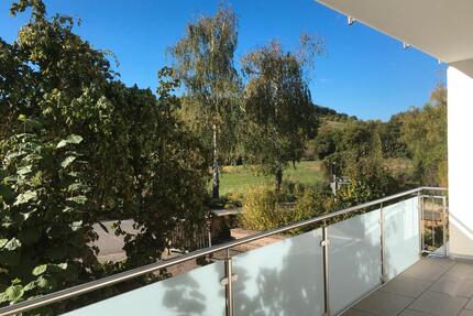 4 ZKBB und Garten in WackernheimIngelheim Top Lage zu vermieten - Ingelheim am Rhein