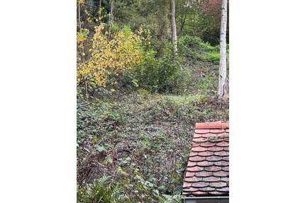 Am Rand des Pfälzer Waldes - Rheinebene vor sich - Auf den Spuren von Max Slevogt - 1 B Lage - Leinsweiler