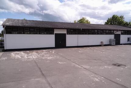 Beheizte Lagerhallen 360 m² 500 m² in Frankfurt (Oder)