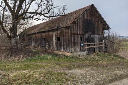 Grünland Viehweide mit Wald, Stadel und Hütte bei Unterthingau