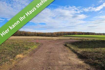 Haus zum Kaufen in Harbke 304.690,00 € 119 m²