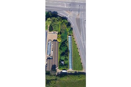 GartengrundstückFreizeitgrundstück in Frankfurt - Harheim - Frankfurt am Main Nordend West