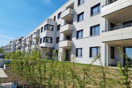Großzügige 3-Zimmer-Wohnungen ab sofort zu vermieten - Günzburg