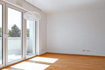Schweich: Modernes Penthouse mit sonniger Dachterrasse