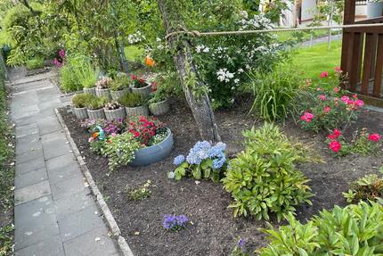 Schrebergarten im Gartenverein abzugeben - Duisburg Hamborn