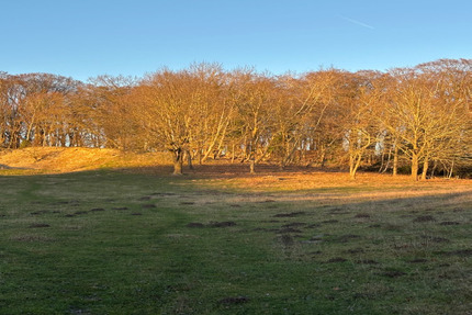 Großzügiges Grünlandgrundstück in ruhiger Lage am Nordperd - Göhren