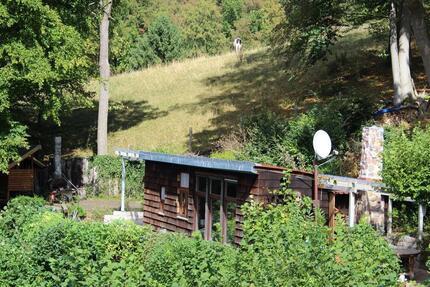 Ferienhaus Weserbergland Naturpark Solling-Vogler - Bodenwerder