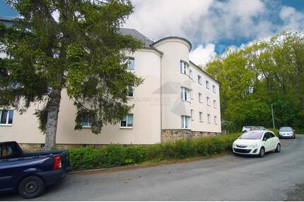 !! Osterangebot !! großzügige 2,5-Raum-Whg. mit Tageslichtbad direkt am Waldrand - Chemnitz Ebersdorf