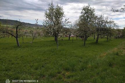 Grundstück garten - 70,00&nbsp;EUR Kaltmiete, ca.&nbsp; 0,00&nbsp;m&sup2; in Tübingen (PLZ: 72072) Derendingen