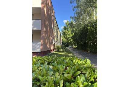 Wohnung zum Kaufen in Berlin 415.000,00 € 84 m²