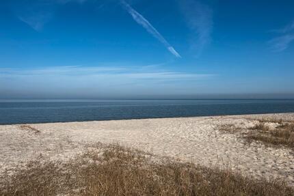 Urlaub mit Hund Ferienwohnung Nordsee - Jever