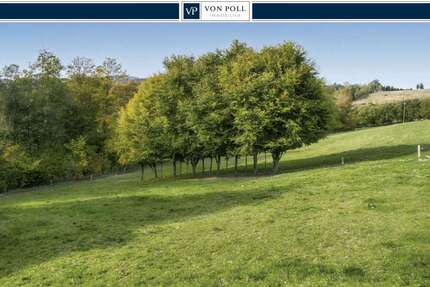 Grundstück zu verkaufen in Olsberg Wiemeringhausen 63.000,00 € 1170 m² - Olsberg / Wiemeringhausen