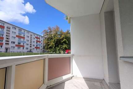 Wohnung zum Mieten in Freiberg 413,00 € 59 m²