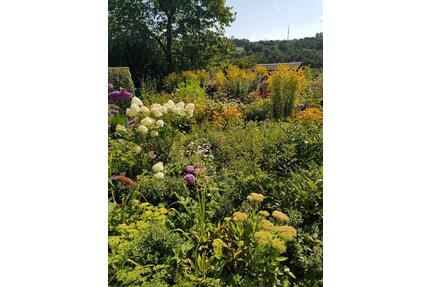 Schrebergarten-traumhaft, super gepflegt, komplett ausgestattet - Weißendorf