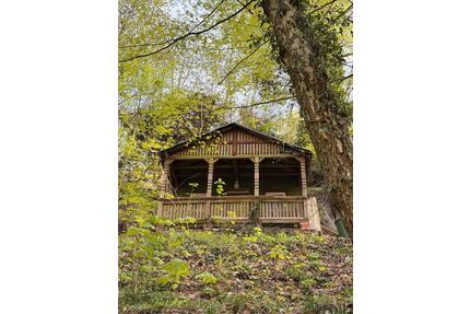 Pachtgarten in traumhafter Lage Marburg