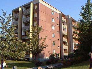 Wohnung zum Mieten in Gera 335,00 € 55 m²