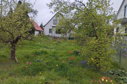 Haus zum Kaufen in Berlin Mahlsdorf Nord 499.000,00 € 110 m²