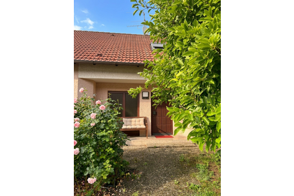 Haus zum Kaufen in Lohr am Main 459.500,00 € 265 m²