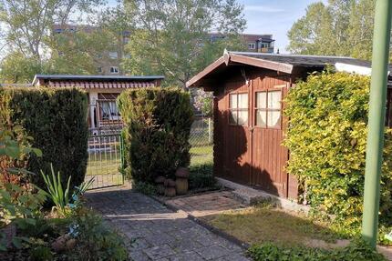 Pachtgarten in Großräschen - 700,00&nbsp;EUR Kaltmiete, ca.&nbsp; 0,00&nbsp;m&sup2; in Großräschen (PLZ: 01983)