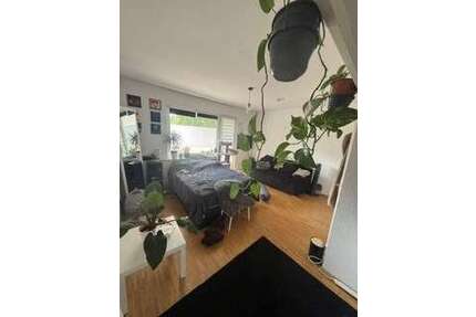 Wohnung zum Mieten in Essen 350,00 € 31.23 m²