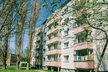 Wohnung zum Mieten in Prenzlau 430,00 € 60.8 m²