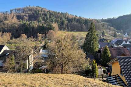 Grundstück zu verkaufen in Herbolzheim 280.000,00 € 966 m²