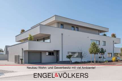 Haus zum Kaufen in Kirrweiler 2.680.000,00 € 371 m²