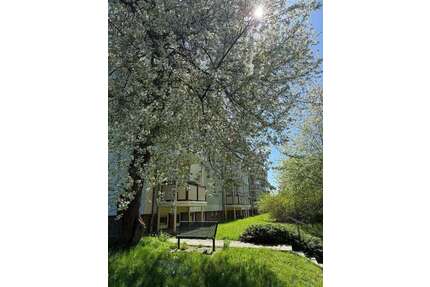 Wohnung zum Mieten in Wilkau-Haßlau 338,00 € 51.76 m²