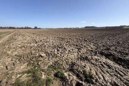 Grundstück in Reisbach Niederhausen 210.000,00 € 10879 m² - Reisbach / Niederhausen