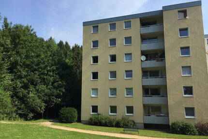 Renovierte 4-Zimmer-Wohnungen mit Balkon in Goslar